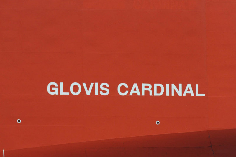 Glovis Cardinal - 03 set 2015 - detalhe.jpg