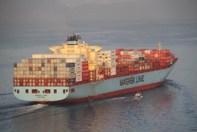 Maersk La Paz - 19 abr 2013_6418.JPG