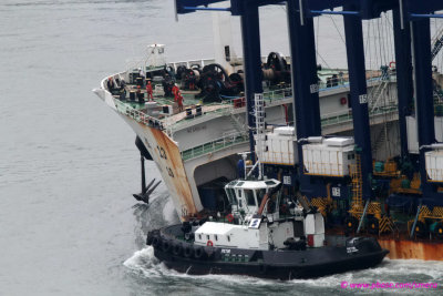 Zhen Hua 13 - 13 abr 2013 - detalhe_6502.JPG