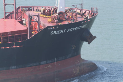 Orient Adventure - 11 nov 2013 - detalhe.JPG