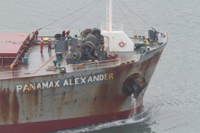 Panamax Alexander - 09 nov 2013 - det..JPG