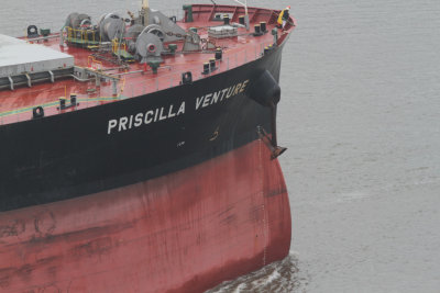 Priscilla Venture - 24 nov 2013 - detalhe.JPG