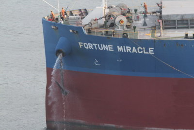 Fortune Miracle - 28 nov 2013 - detalhe.JPG