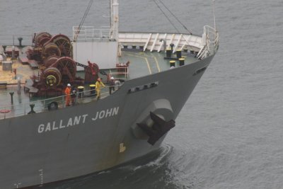 Gallant John - 08 ago 2014 - detalhe.JPG