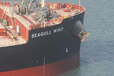 Seagull Wind - 02 ago 2014 - detalhe.JPG