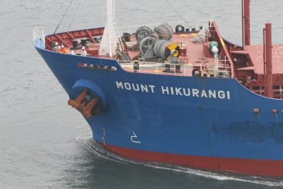 Mount Hikurangi - 15 mar 2015 - detalhe.JPG