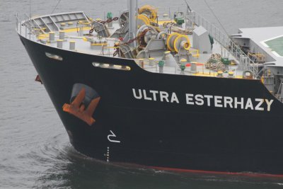 Ultra Esterhazy - 26 mai 2015 - detalhe.JPG