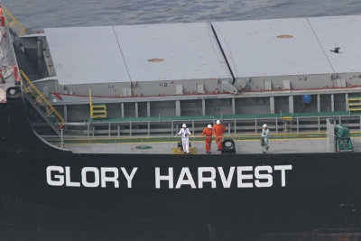 Glory Harvest - 12 ago 2015 - detalhe.jpg