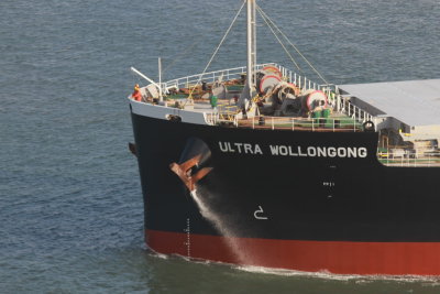 Ultra Wollongong - 04 ago 2016 - detalhe.JPG