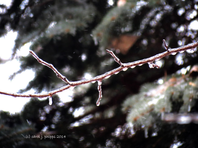 Ice and Snow Flakes.