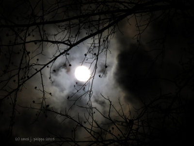 Last Nights Full Moon