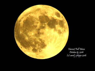 Harvest Moon,  October 15, 2016