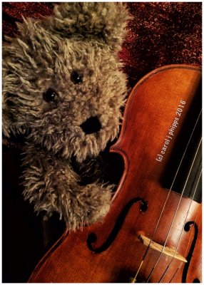 Bear and Violin