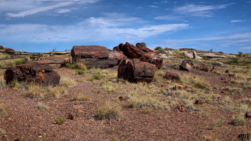 Petrified Forest National Park HDR DSC05295.jpg