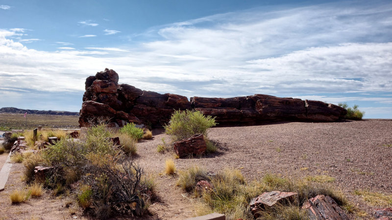 Petrified Forest National Park HDR DSC05314.jpg