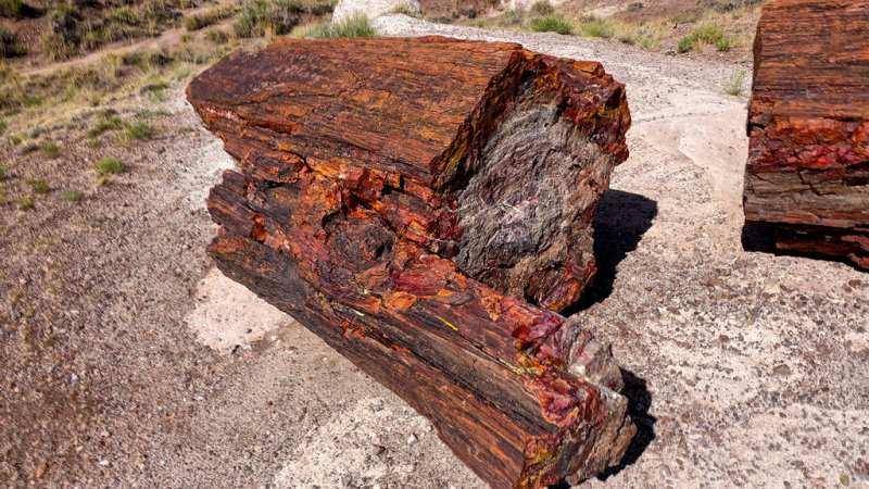 Petrified Forest National Park HDR DSC05359.jpg