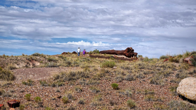 Petrified Forest National Park HDR DSC05378.jpg