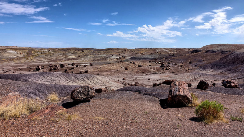Petrified Forest National Park HDR DSC05384.jpg