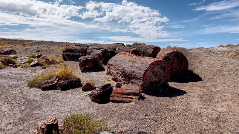 Petrified Forest National Park HDR DSC05389.jpg