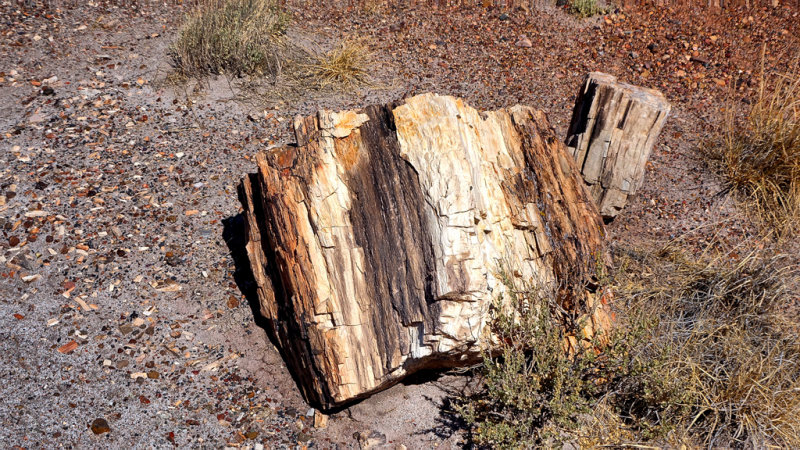 Petrified Forest National Park HDR DSC05429.jpg