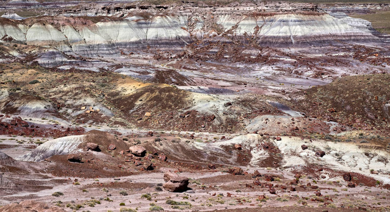 Petrified Forest National Park HDR DSC05439.jpg