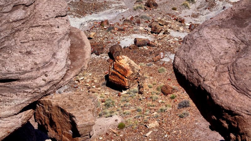 Petrified Forest National Park HDR DSC05443.jpg