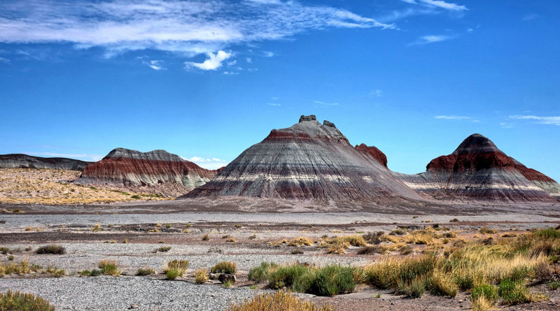Petrified Forest National Park HDR DSC05472.jpg