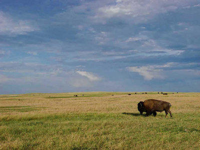 2010-07-17 Custer Badlands   Dsc00807.jpg