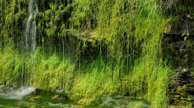 hdr DSC00289.jpg