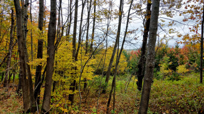 Vestal NY Rx100 DSC01933 (HDR).jpg
