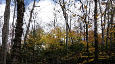 RX100 DSC02142.jpg