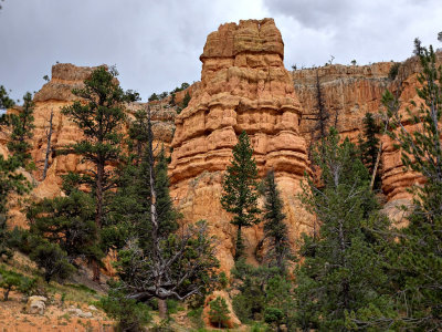 Red Canyon HDR DSC02531.jpg