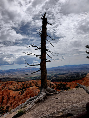 Bryce Canyon HDR DSC02050.jpg