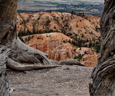 Bryce Canyon HDR DSC02090.jpg