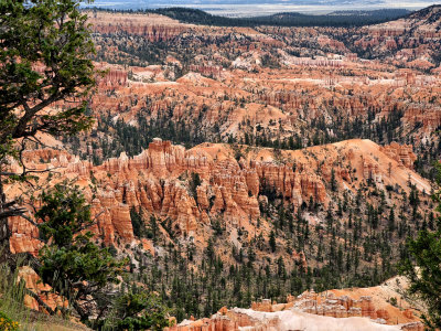 Bryce Canyon HDR DSC02115.jpg