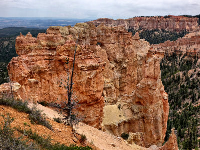 Bryce Canyon HDR DSC02351.jpg