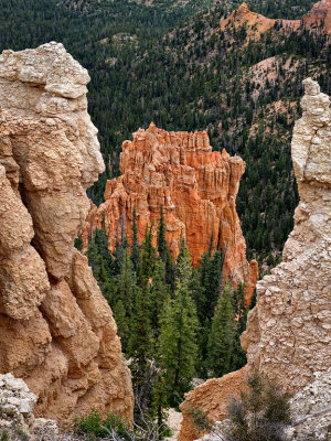 Bryce Canyon HDR DSC02391.jpg