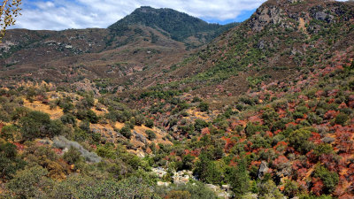 Sequoia National Park HDR DSC03345.jpg