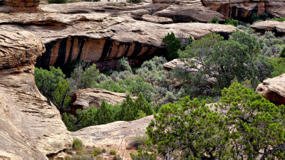 Cave Spring Trail Canyonlands HDR DSC04689.jpg