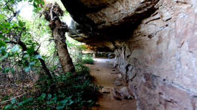 Cave Spring Trail Canyonlands DSC04637.jpg