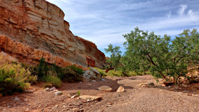 Little Wild Horse Canyon Utah HDR DSC04986.jpg