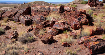 Petrified Forest National Park HDR DSC05353.jpg