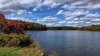 Fall Foliage Nanticoke Lake, NY RX10
