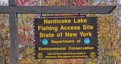 Fall Foliage Nanticoke Lake, NY RX10