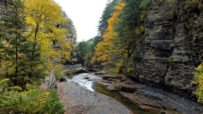 Fall Foliage Treman State Park Ithaca, New York RX10