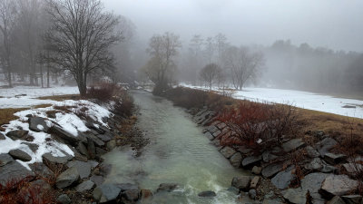 Tracy Creek in the Fog 1