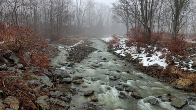 Tracy Creek in the Fog 2
