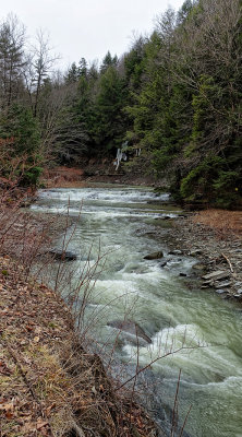 2015 RX100 M3 Tracy Creek Vestal, NY