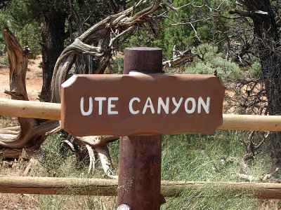 2010-06-14 Ute Canyon& Video