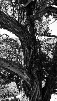 Walnut Canyon HDRRx10Raw files converted to Jpg and blended. Then Processed in Photoshop)